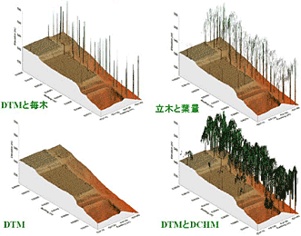 森林現況データの作成方法